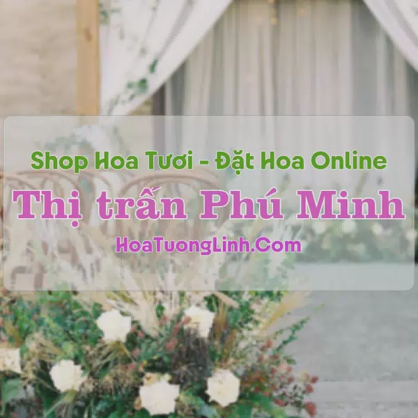 Shop Hoa Tươi Thị trấn Phú Minh - Hà Nội