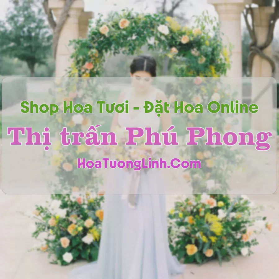 Shop Hoa Tươi Thị trấn Phú Phong - Bình Định
