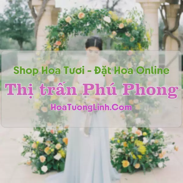 Shop Hoa Tươi Thị trấn Phú Phong - Bình Định