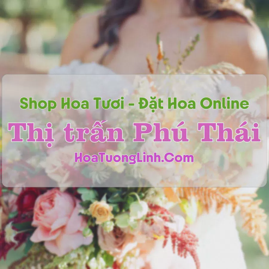 Shop Hoa Tươi Thị Trấn Phú Thái - Hải Dương