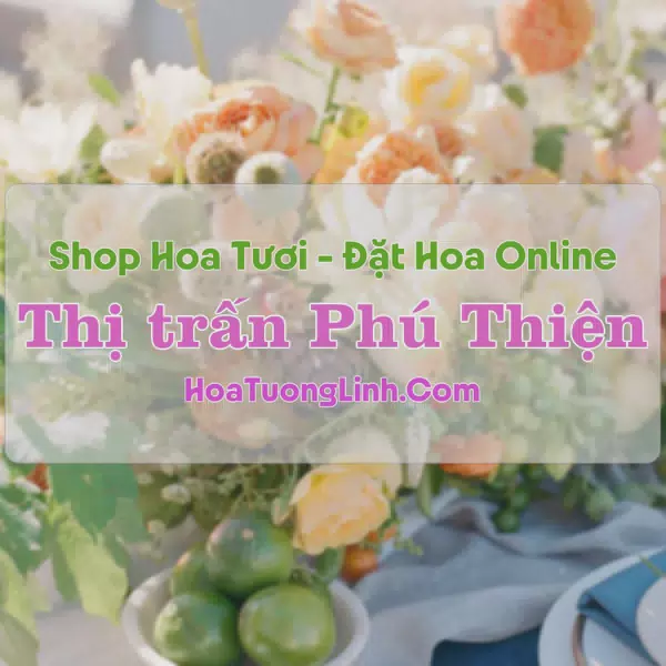 Shop Hoa Tươi Thị Trấn Phú Thiện - Gia Lai