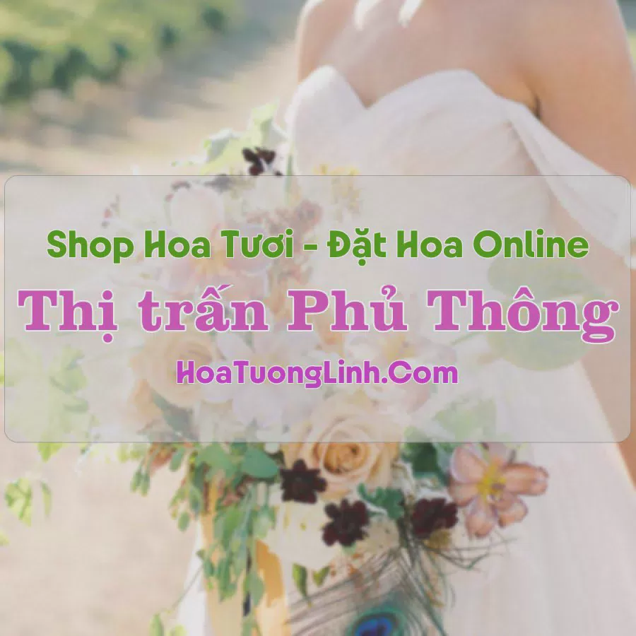 Shop Hoa Tươi Thị Trấn Phủ Thông - Bắc Kạn