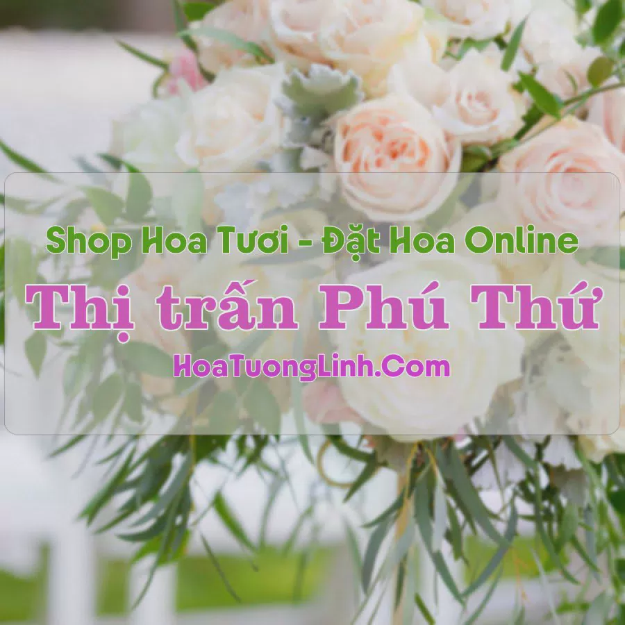 Shop Hoa Tươi Thị trấn Phú Thứ - Phú Yên