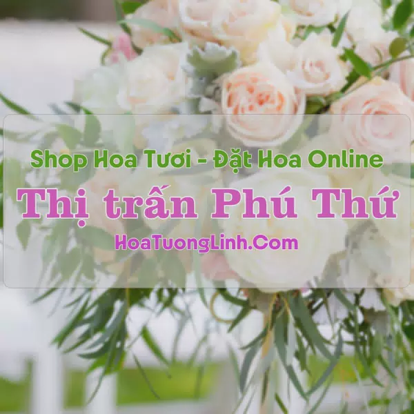 Shop Hoa Tươi Thị trấn Phú Thứ - Phú Yên