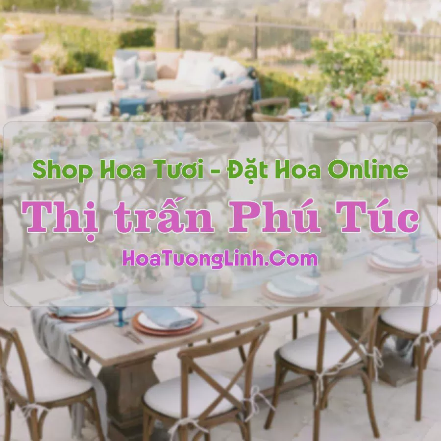 Shop Hoa Tươi Thị Trấn Phú Túc - Gia Lai