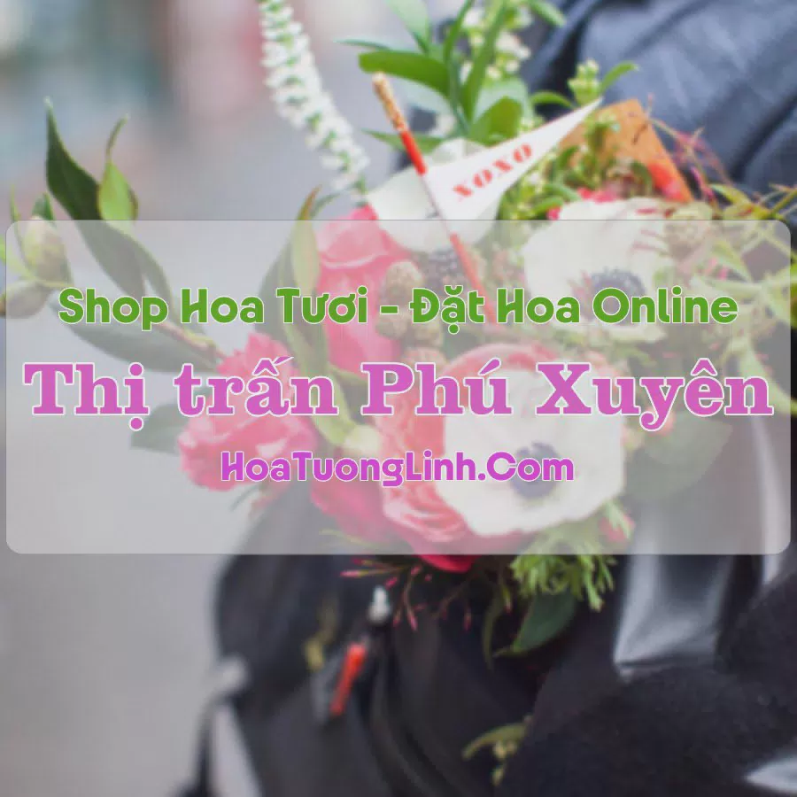 Shop Hoa Tươi Thị trấn Phú Xuyên - Hà Nội