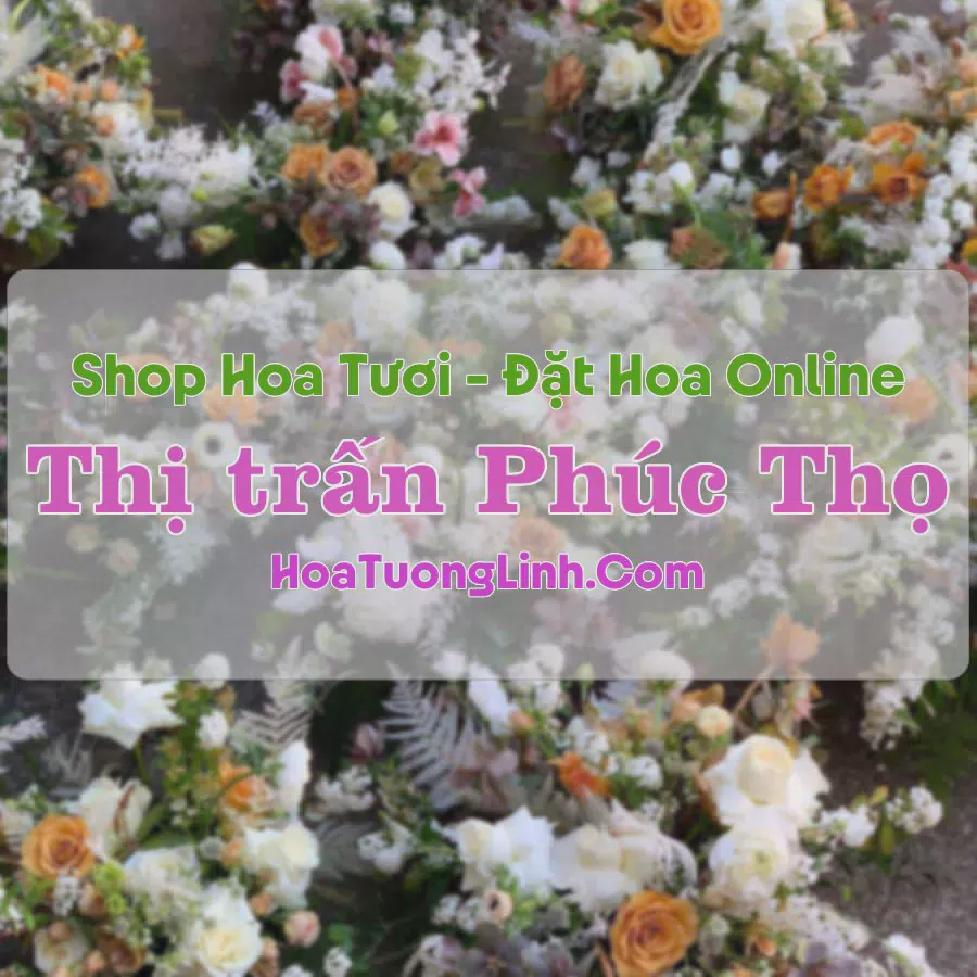 Shop Hoa Tươi Thị Trấn Phúc Thọ - Hà Nội