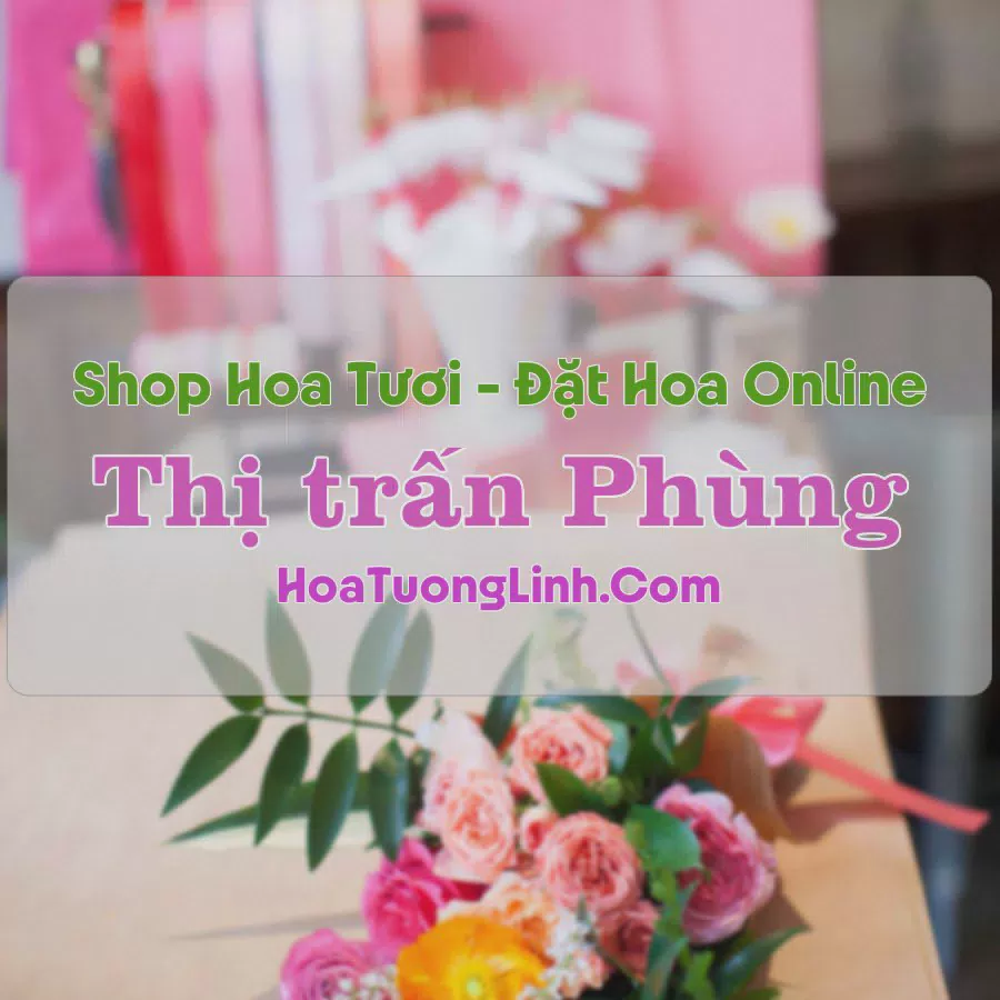 Shop Hoa Tươi Thị Trấn Phùng - Hà Nội