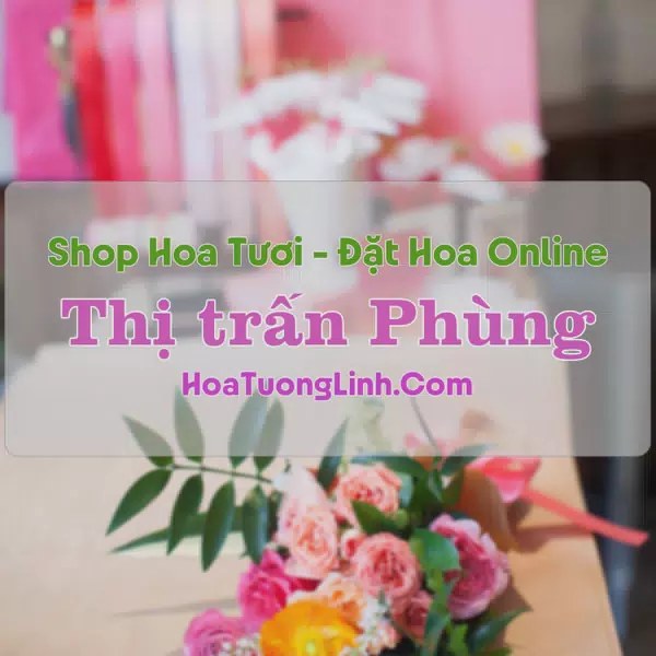 Shop Hoa Tươi Thị Trấn Phùng - Hà Nội