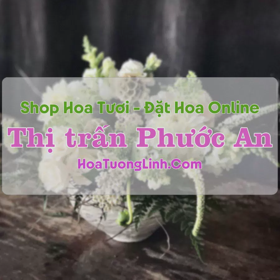 Shop Hoa Tươi Thị trấn Phước An - Đắk Lắk
