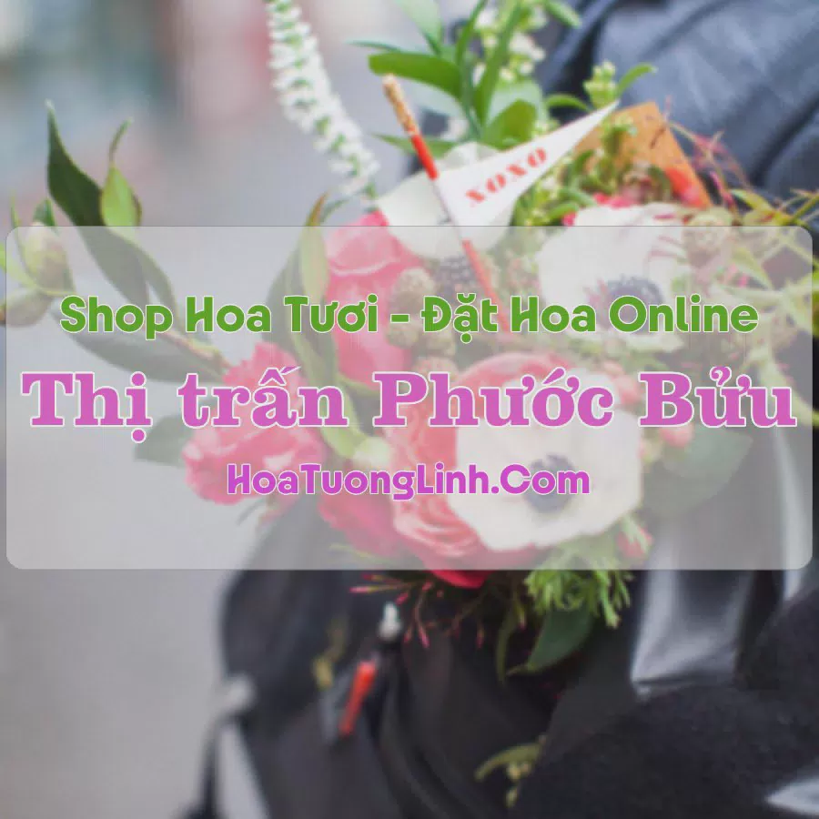 Shop Hoa Tươi Thị trấn Phước Bửu - Bà Rịa - Vũng Tàu