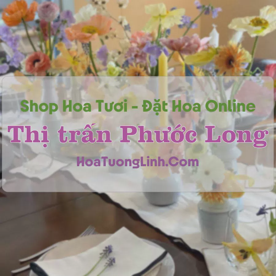Shop Hoa Tươi Thị Trấn Phước Long - Bạc Liêu