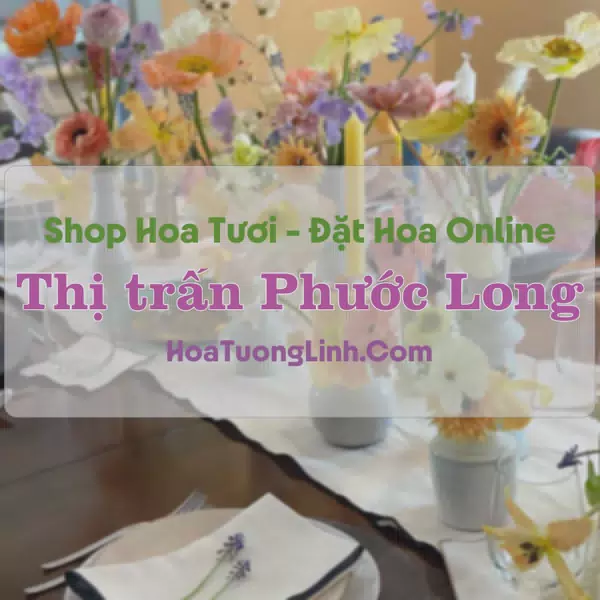 Shop Hoa Tươi Thị Trấn Phước Long - Bạc Liêu