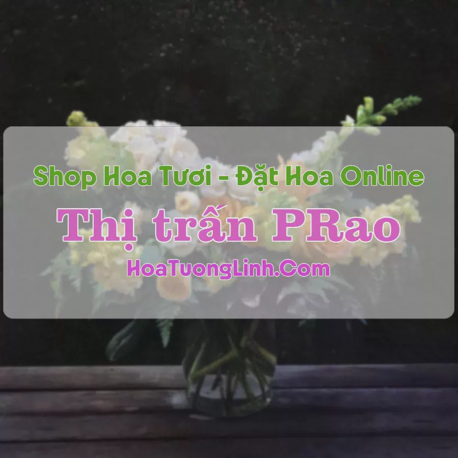 Shop Hoa Tươi Thị Trấn PRao - Quảng Nam