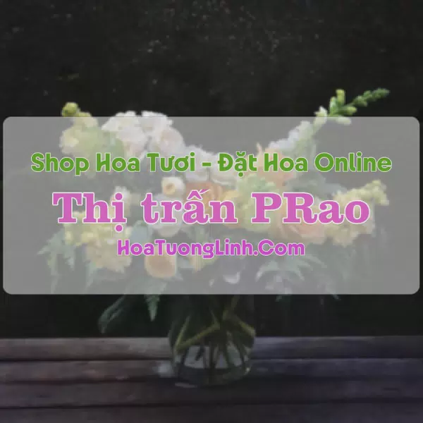 Shop Hoa Tươi Thị Trấn PRao - Quảng Nam
