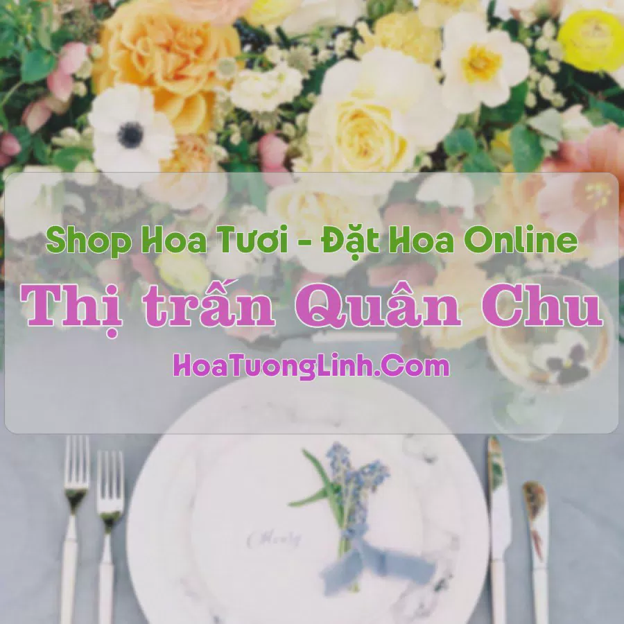 Shop Hoa Tươi Thị Trấn Quân Chu - Thái Nguyên