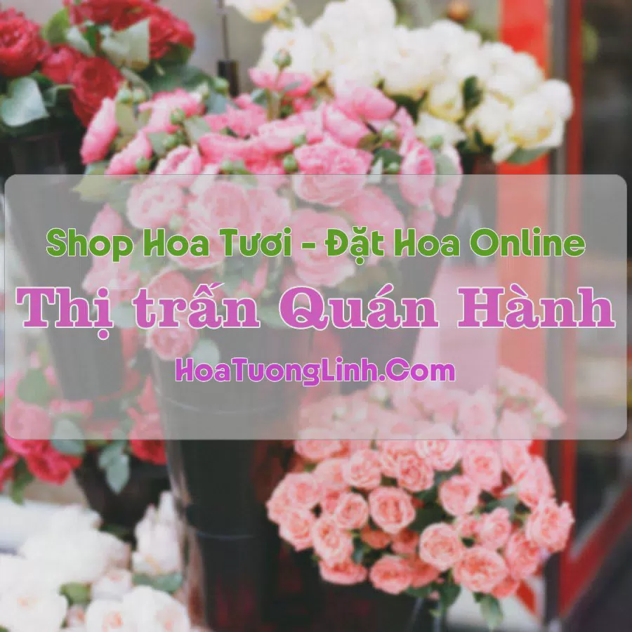 Shop Hoa Tươi Thị trấn Quán Hành - Nghệ An
