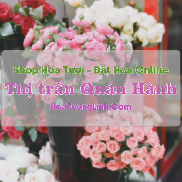 Shop Hoa Tươi Thị trấn Quán Hành - Nghệ An