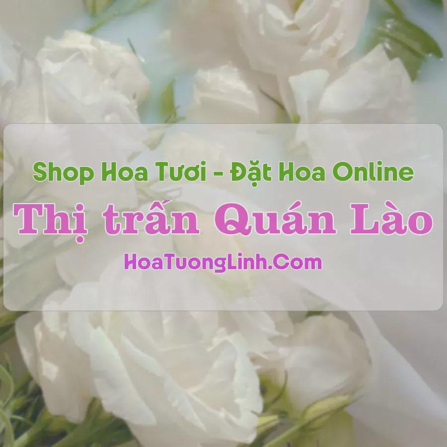 Shop Hoa Tươi Thị Trấn Quán Lào - Thanh Hóa