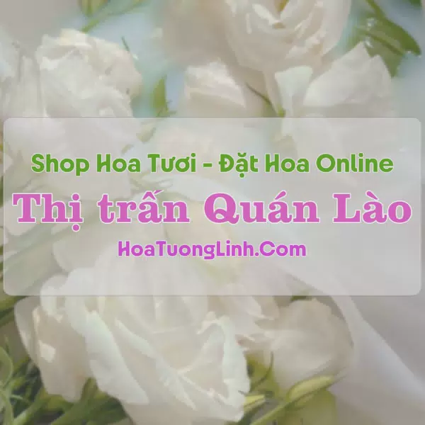 Shop Hoa Tươi Thị Trấn Quán Lào - Thanh Hóa