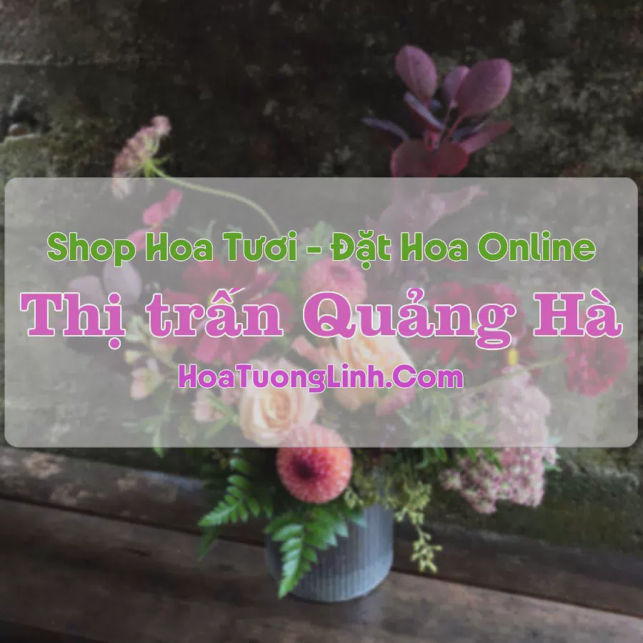 Shop Hoa Tươi Thị Trấn Quảng Hà - Hải Hà