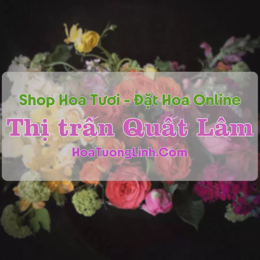 Shop Hoa Tươi Thị Trấn Quất Lâm - Nam Định