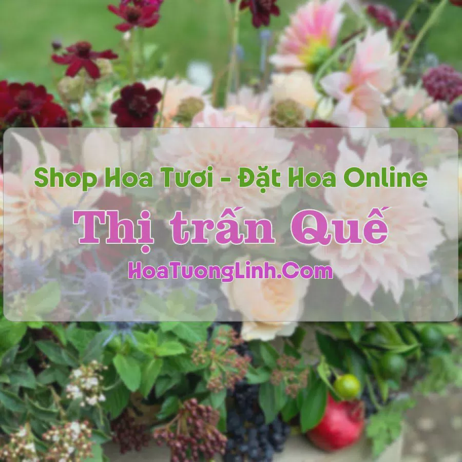 Shop Hoa Tươi Thị Trấn Quế - Hà Nam