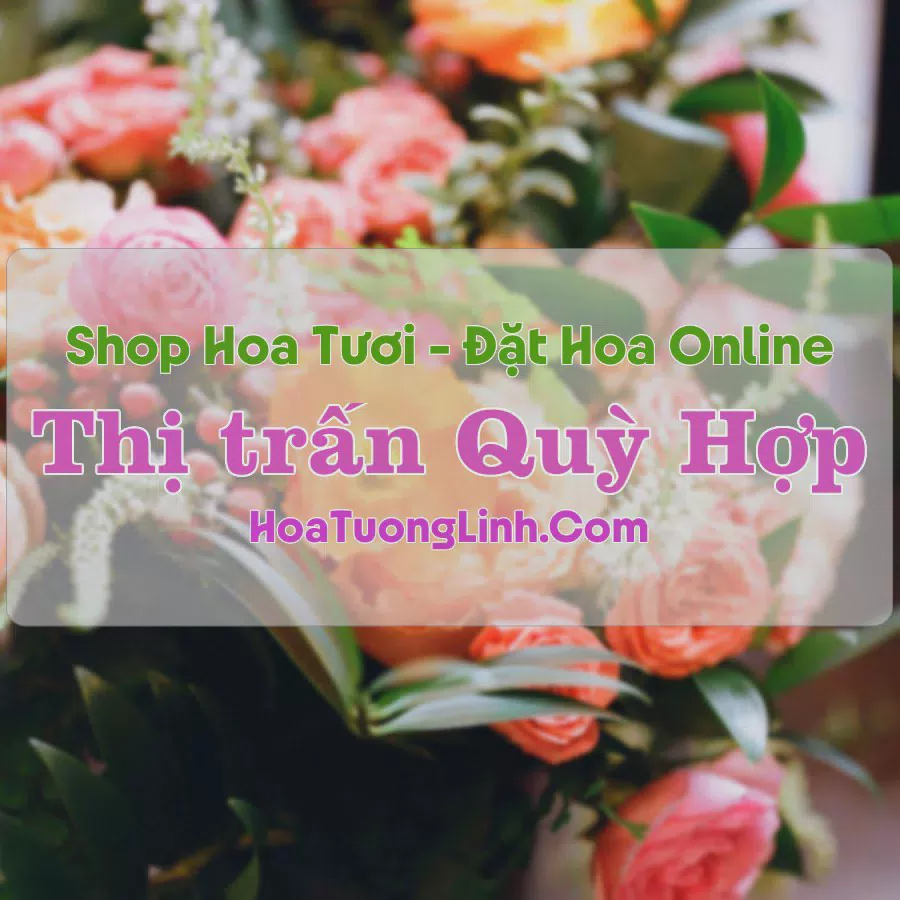 Shop Hoa Tươi Thị trấn Quỳ Hợp - Nghệ An