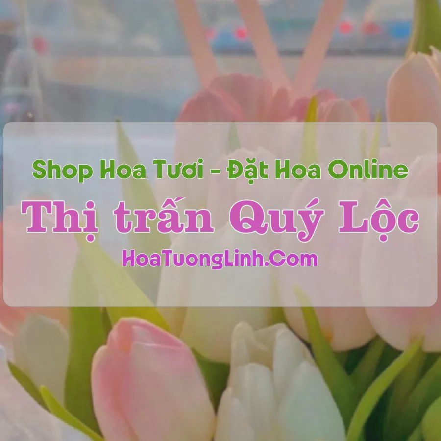 Shop Hoa Tươi Thị Trấn Quý Lộc - Thanh Hóa