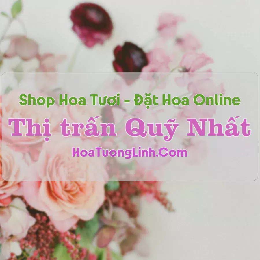 Shop Hoa Tươi Thị Trấn Quỹ Nhất - Nam Định