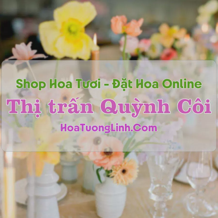 Shop Hoa Tươi Thị Trấn Quỳnh Côi - Thái Bình