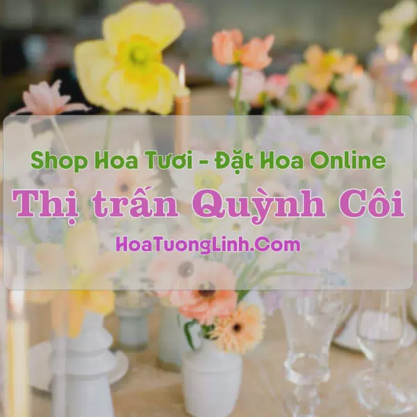 Shop Hoa Tươi Thị Trấn Quỳnh Côi - Thái Bình