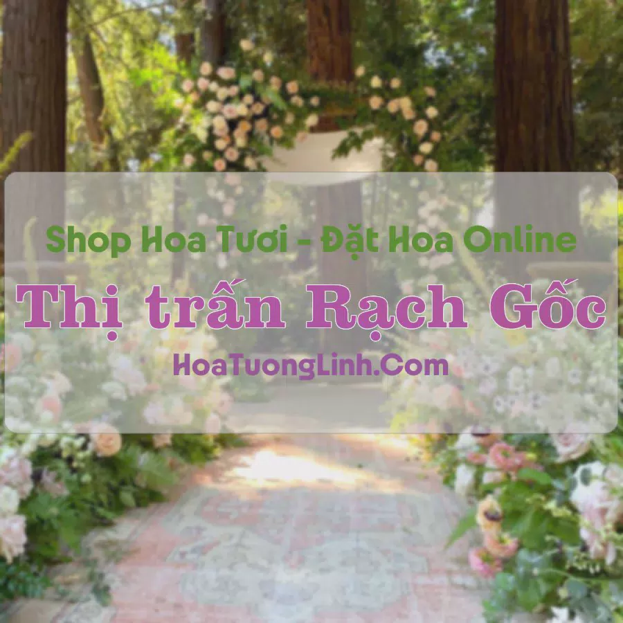 Shop Hoa Tươi Thị Trấn Rạch Gốc - Cà Mau