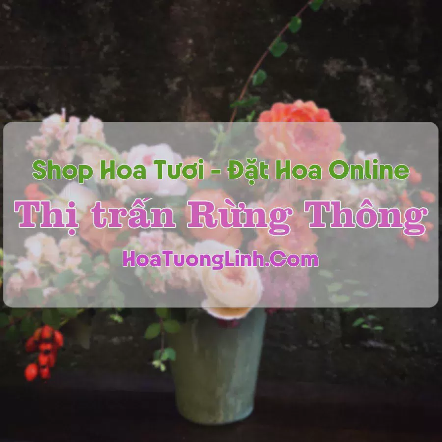Shop Hoa Tươi Thị trấn Rừng Thông - Thanh Hóa