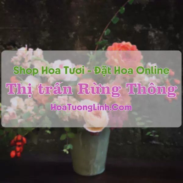 Shop Hoa Tươi Thị trấn Rừng Thông - Thanh Hóa
