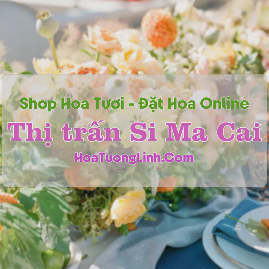 Shop Hoa Tươi Thị Trấn Si Ma Cai - Lào Cai