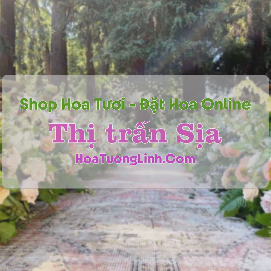 Shop Hoa Tươi Thị trấn Sịa - Huế