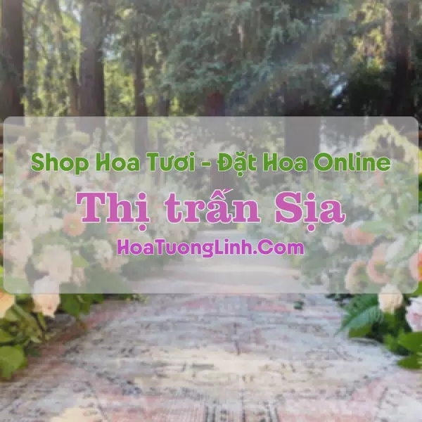 Shop Hoa Tươi Thị trấn Sịa - Huế