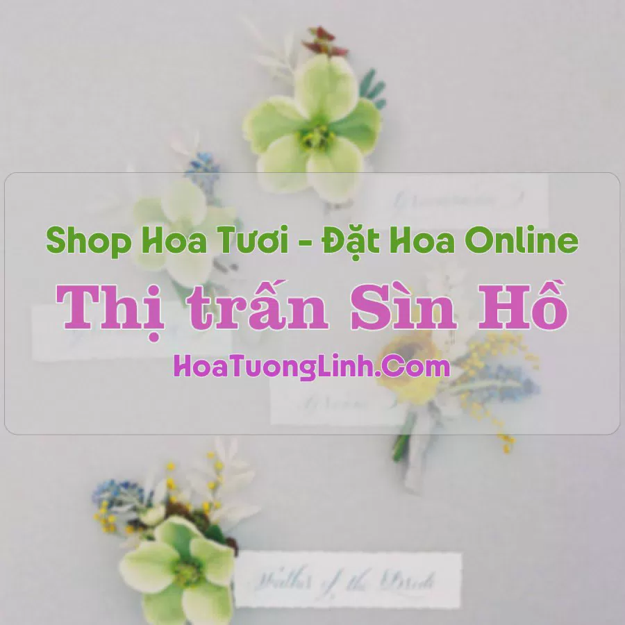 Shop Hoa Tươi Thị trấn Sìn Hồ - Lai Châu