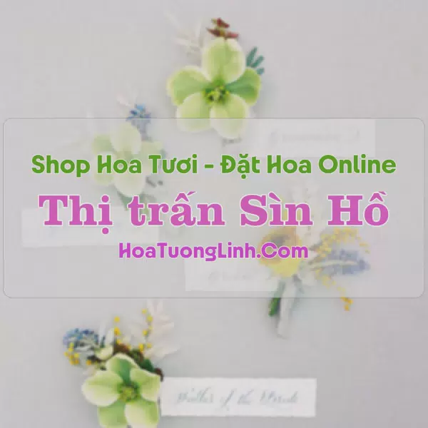 Shop Hoa Tươi Thị trấn Sìn Hồ - Lai Châu