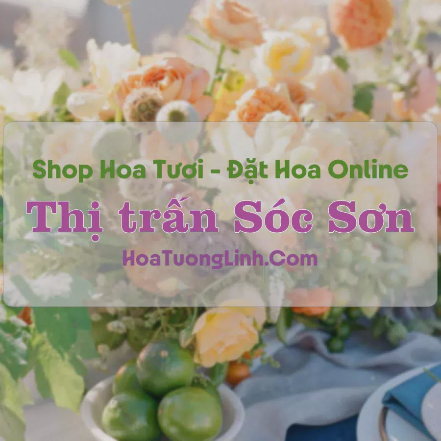 Shop Hoa Tươi Thị Trấn Sóc Sơn - Kiên Giang
