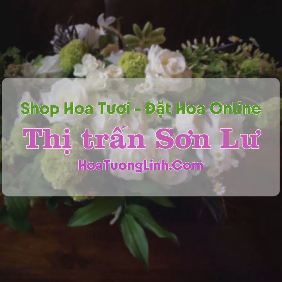 Shop Hoa Tươi Thị Trấn Sơn Lư - Thanh Hóa