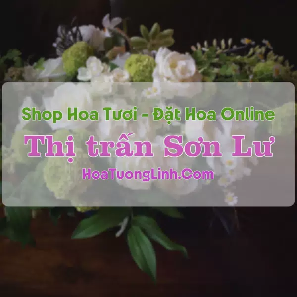 Shop Hoa Tươi Thị Trấn Sơn Lư - Thanh Hóa