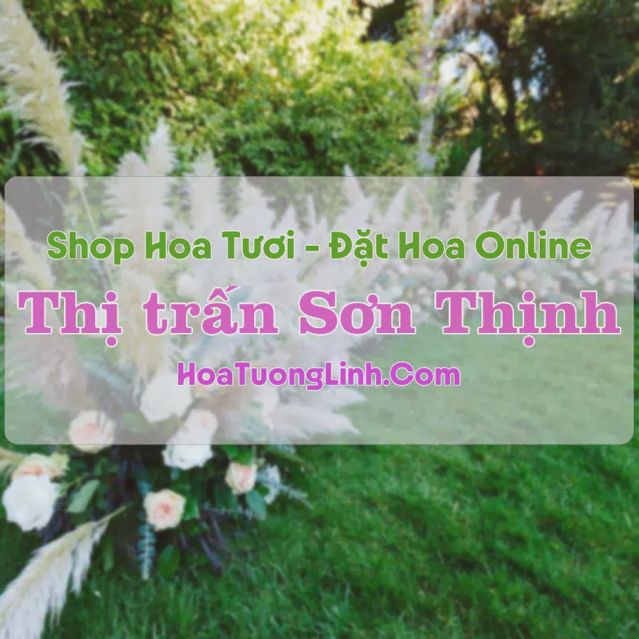 Shop Hoa Tươi Thị Trấn Sơn Thịnh - Yên Bái