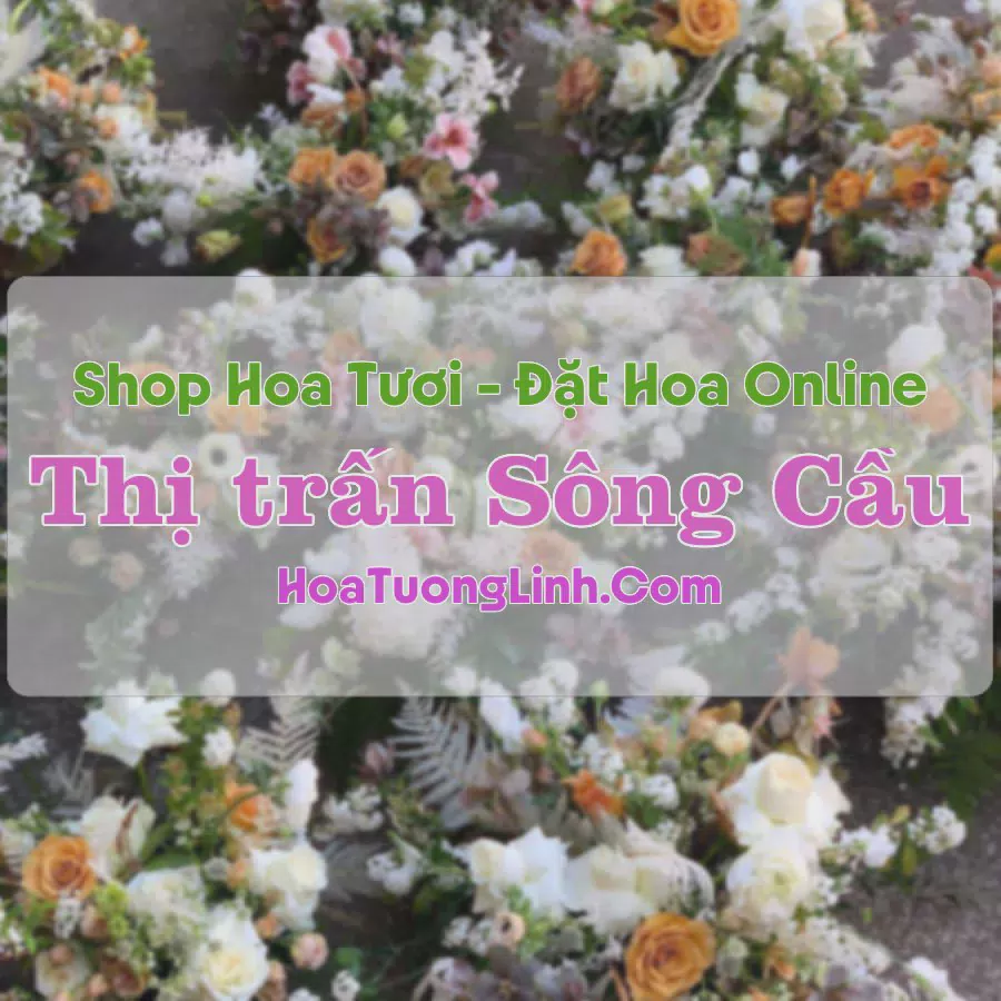 Shop Hoa Tươi Sông Cầu - Đồng Hỷ, Thái Nguyên