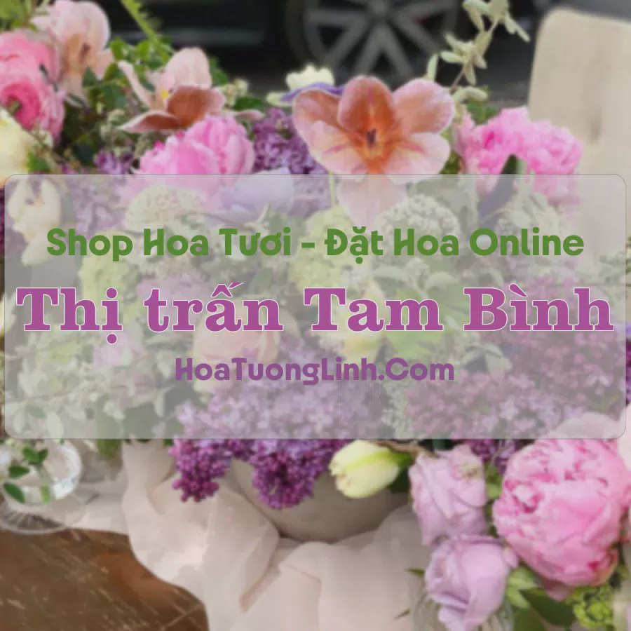 Shop Hoa Tươi Thị Trấn Tam Bình - Vĩnh Long