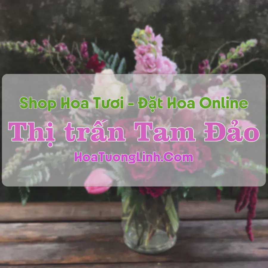 Shop Hoa Tươi Thị Trấn Tam Đảo - Vĩnh Phúc