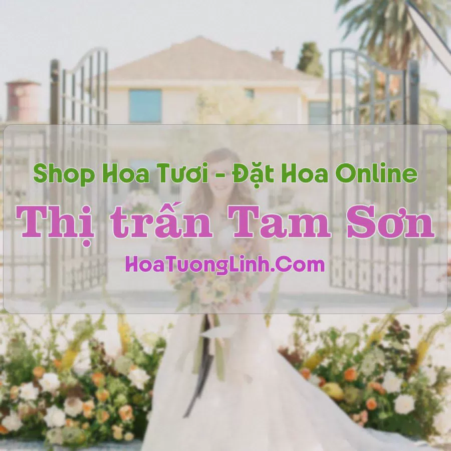 Shop Hoa Tươi Thị Trấn Tam Sơn - Sông Lô, Vĩnh Phúc