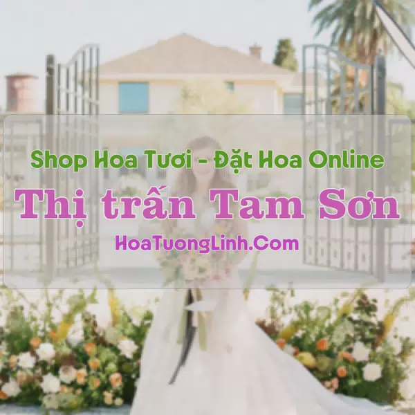 Shop Hoa Tươi Thị Trấn Tam Sơn - Sông Lô, Vĩnh Phúc