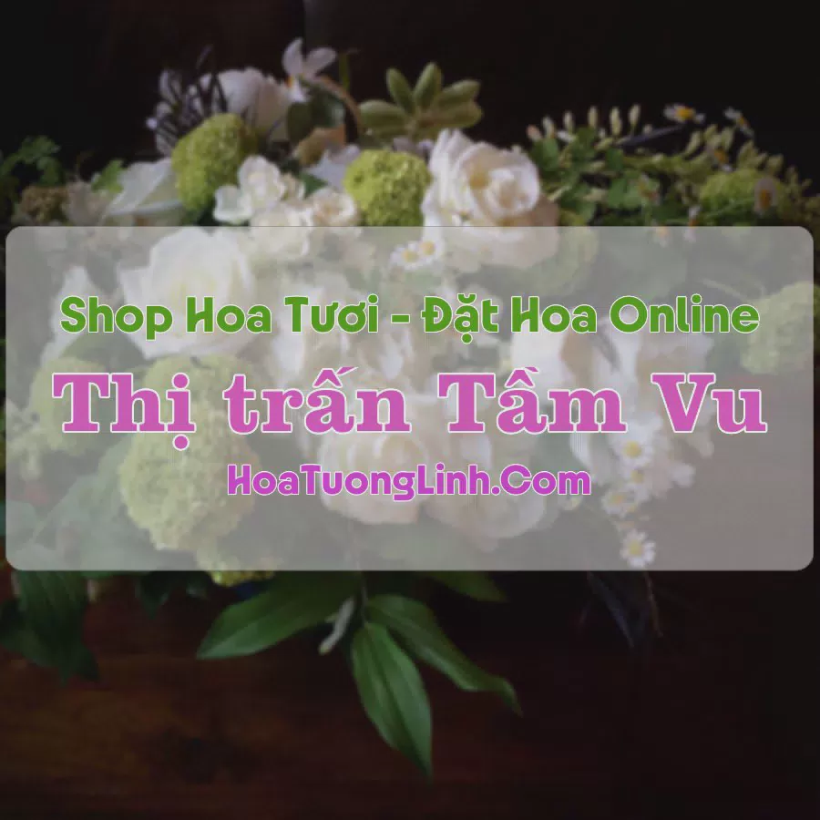 Shop Hoa Tươi Thị Trấn Tầm Vu - Long An